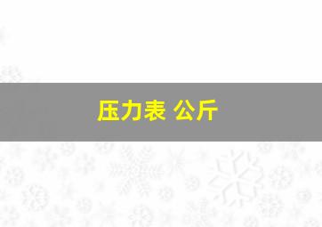 压力表 公斤